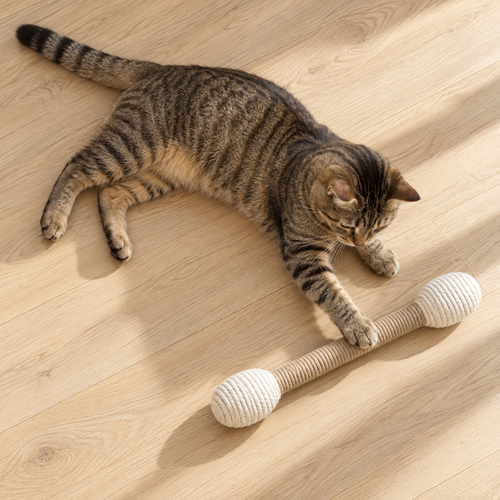 Rope Swab Cat Scratcher Toy