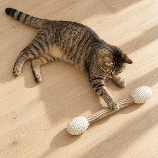 Rope Swab Cat Scratcher Toy